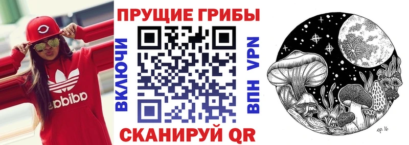 Галлюциногенные грибы MAGIC MUSHROOMS  нарко площадка телеграм  Махачкала  OMG ссылка 