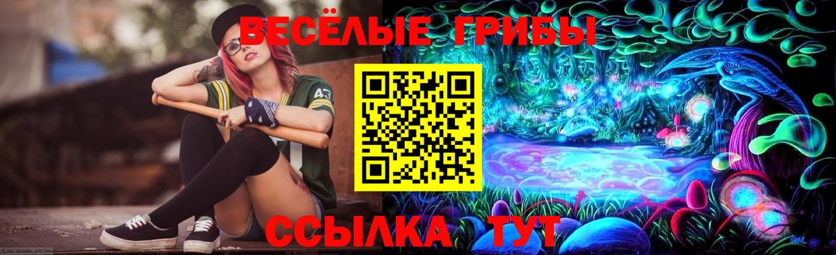 Галлюциногенные грибы Cubensis  купить наркоту  Галлюциногенные грибы ЛСД  Махачкала  Вход с VPN 